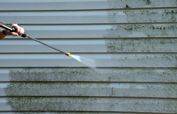 Best House Pressure Washing  in Forsyth, MT