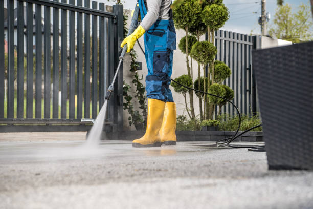 Best Pressure Washing Siding  in Forsyth, MT