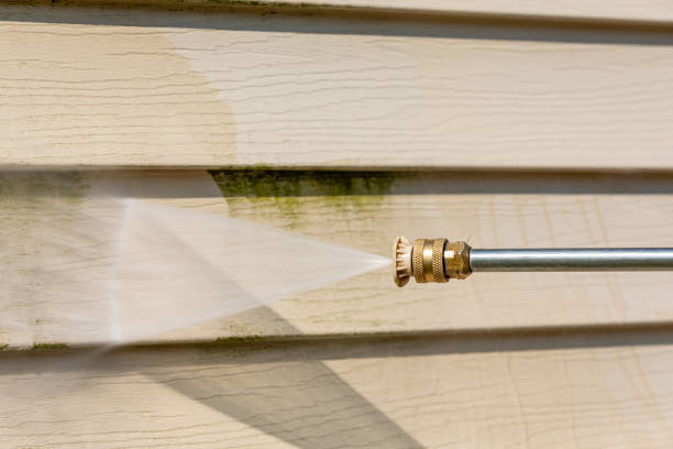 Best Roof Pressure Washing  in Forsyth, MT