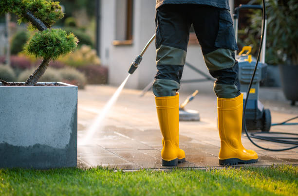 Best House Pressure Washing  in Forsyth, MT
